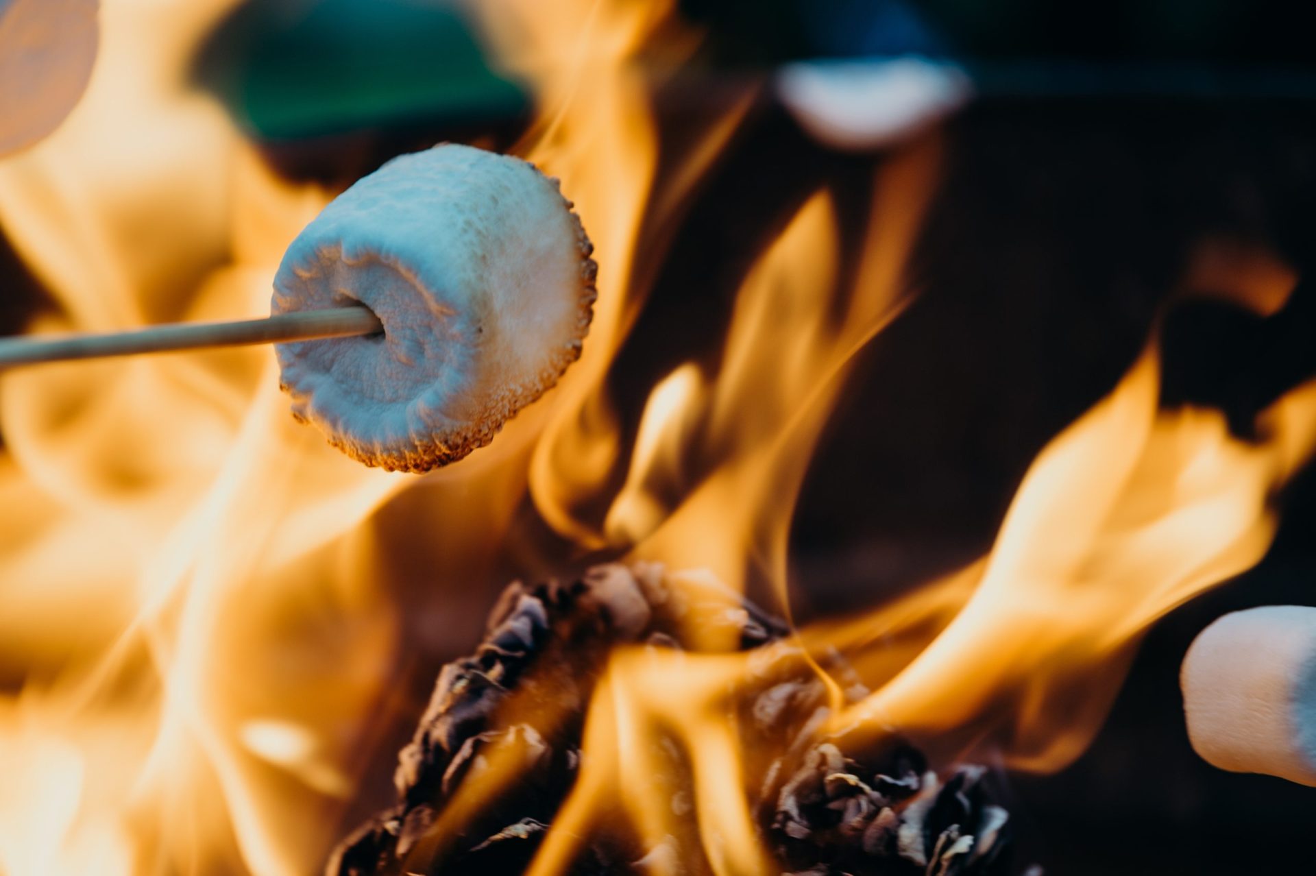 toasted-marshmallow-sweet-potato-souffle