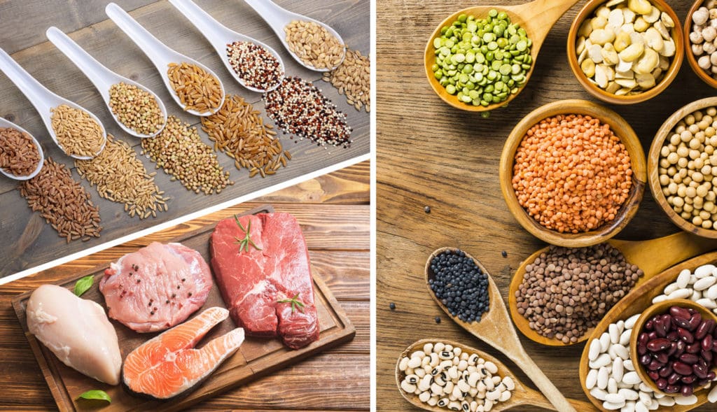 Foods-with-Amino-Acids-Muscle-Media