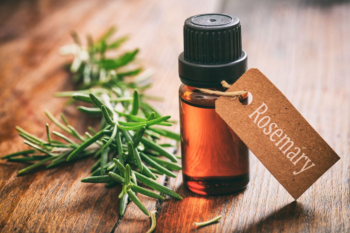 Rosemary-Muscle-Media