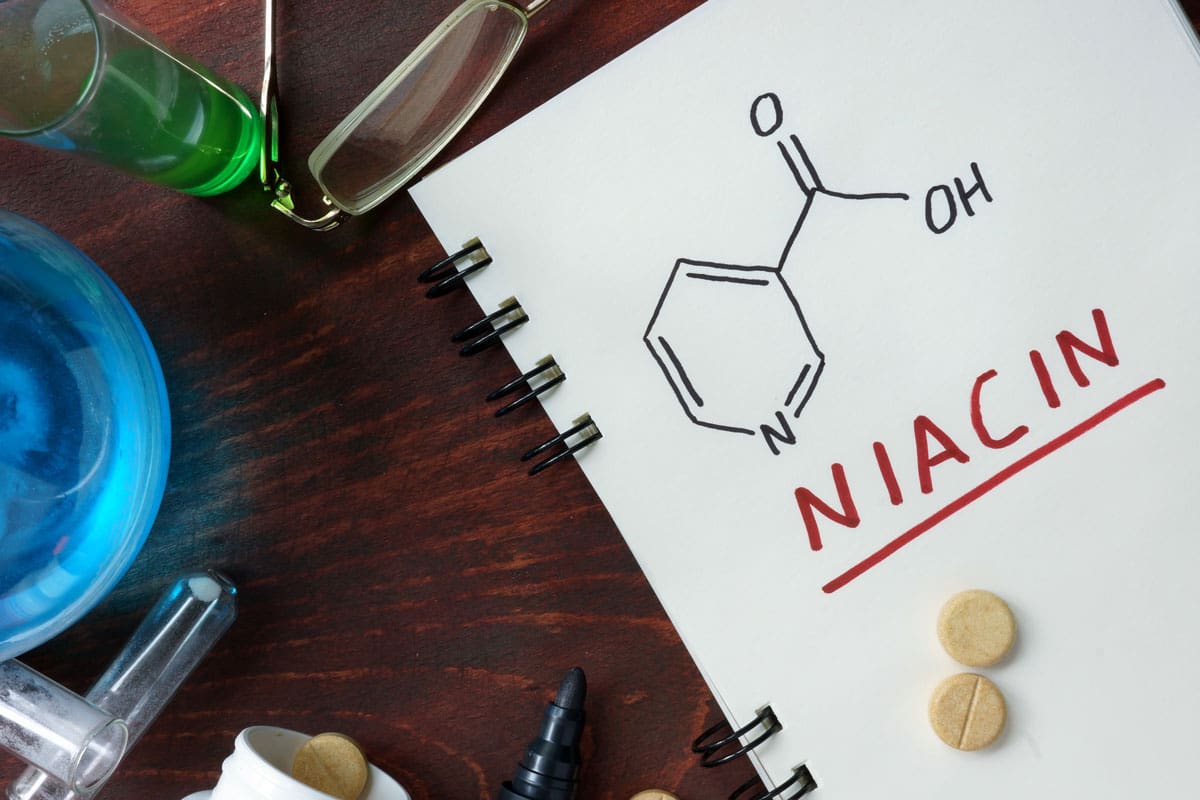 Niacin-Muscle-Media